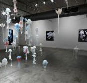 Nellie Castan Gallery - Surfers Paradise Gold Coast