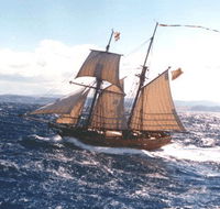 Enterprize - Melbourne's Tall Ship - Surfers Paradise Gold Coast