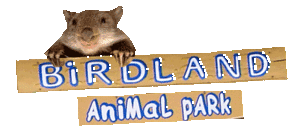 Birdland Animal Park - Surfers Paradise Gold Coast