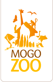 Mogo Zoo - Surfers Paradise Gold Coast