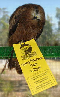 Eagles Heritage - Surfers Paradise Gold Coast 1