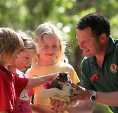 Cleland Wildlife Park - Surfers Paradise Gold Coast