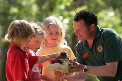 Cleland Wildlife Park - Surfers Paradise Gold Coast 0
