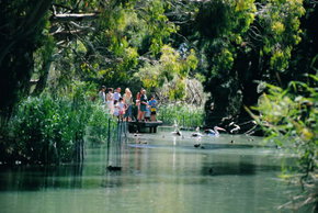 Cleland Wildlife Park - Surfers Paradise Gold Coast 1