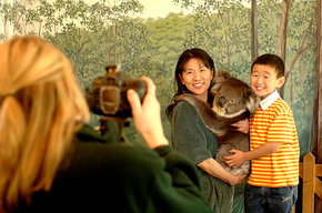Cleland Wildlife Park - Surfers Paradise Gold Coast 2