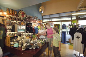 Cleland Wildlife Park - Surfers Paradise Gold Coast 3