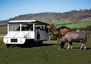 Zoo Doo Wildlife Park - Surfers Paradise Gold Coast 2