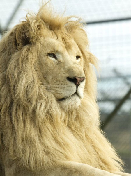 Zoo Doo Wildlife Park - Surfers Paradise Gold Coast 3