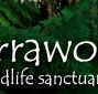 Warrawong Wildlife Park - Surfers Paradise Gold Coast