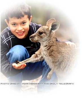 Australia Walkabout Wildlife Park - Surfers Paradise Gold Coast 1