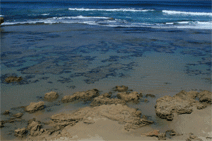 Canberra Contemporary Art Space - Surfers Paradise Gold Coast