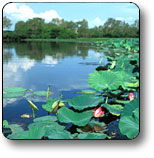 Kakadu National Park - Surfers Paradise Gold Coast 3