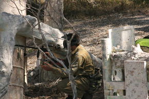 Action Paintball Games - Sydney - Surfers Paradise Gold Coast 3
