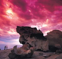 Kangaroo Island Adventure Tour 2 day/1 night - Surfers Paradise Gold Coast