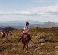 High Country Horses - Surfers Paradise Gold Coast