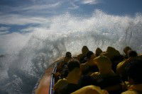 Jetboating Sydney - Surfers Paradise Gold Coast 1