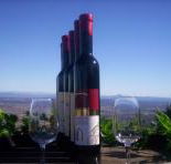 Mount Tamborine Winery  Homestead - Surfers Paradise Gold Coast