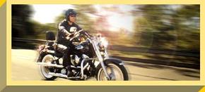 Easy Rider - Surfers Paradise Gold Coast 1