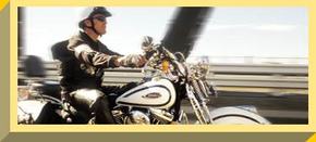 Easy Rider - Surfers Paradise Gold Coast 2