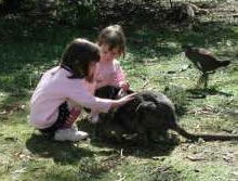 Urimbirra Wildlife Park - Surfers Paradise Gold Coast 1