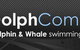 Dolphcom - Dolphin & Whale Swimming Adventures - thumb 0