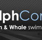 Dolphcom - Dolphin  Whale Swimming Adventures - Surfers Paradise Gold Coast