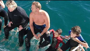 Dolphcom - Dolphin & Whale Swimming Adventures - Surfers Paradise Gold Coast 2