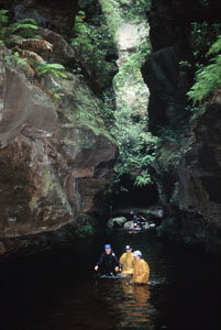 High And Wild Mountain Adventures - Surfers Paradise Gold Coast 1