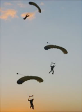 SA Skydiving - Surfers Paradise Gold Coast 3