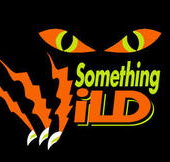 Something Wild - Surfers Paradise Gold Coast