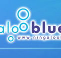 Ningaloo Blue Dive - Surfers Paradise Gold Coast