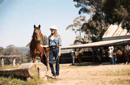 Watsons Trail Rides - Surfers Paradise Gold Coast