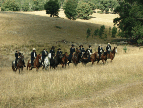 McCormacks Mountain Valley Trail Rides - Surfers Paradise Gold Coast