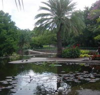 Brisbane City Botanic Gardens - Surfers Paradise Gold Coast