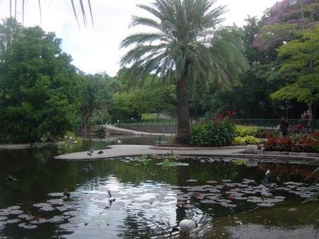 Brisbane City Botanic Gardens - Surfers Paradise Gold Coast 0