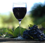 Lion Mill Vineyards - Surfers Paradise Gold Coast