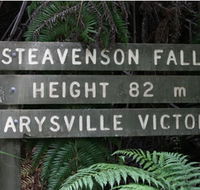Stevensons Falls - Surfers Paradise Gold Coast