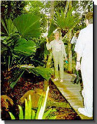 Daintree Rainforest River Trains - Surfers Paradise Gold Coast 1