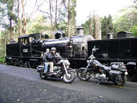 Andy's Harley Rides - Surfers Paradise Gold Coast 0