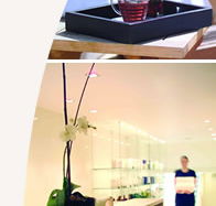 Lyall Hotel and Spa - Surfers Paradise Gold Coast