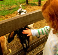 Collingwood Children's Farm - Surfers Paradise Gold Coast