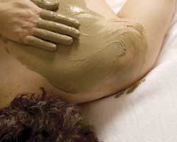 Alkaline Spa & Clinic - Surfers Paradise Gold Coast 2