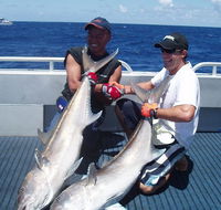 Blue Juice Charters - Surfers Paradise Gold Coast