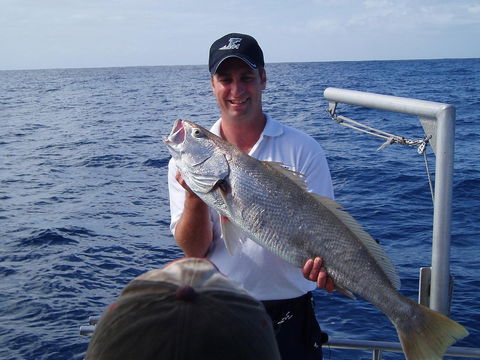 Blue Juice Charters - Surfers Paradise Gold Coast 1