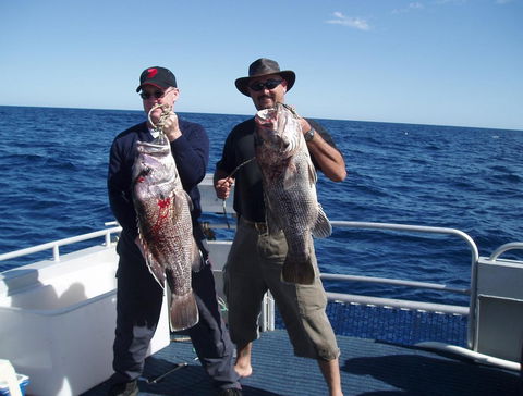 Blue Juice Charters - Surfers Paradise Gold Coast 2