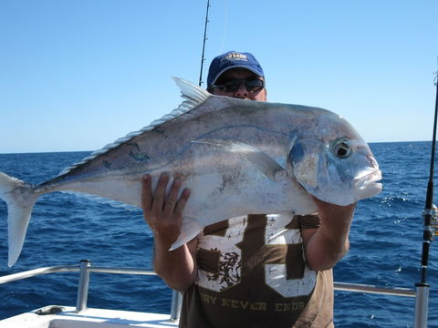 Blue Juice Charters - Surfers Paradise Gold Coast 4