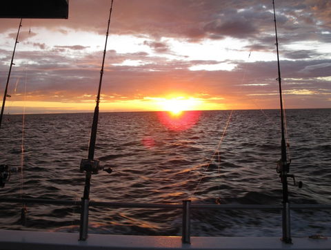 Blue Juice Charters - Surfers Paradise Gold Coast 5