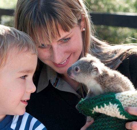 Australian Reptile Park - Surfers Paradise Gold Coast 1