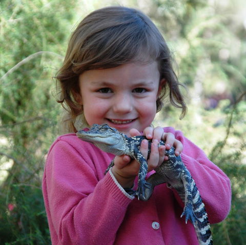 Australian Reptile Park - Surfers Paradise Gold Coast 2