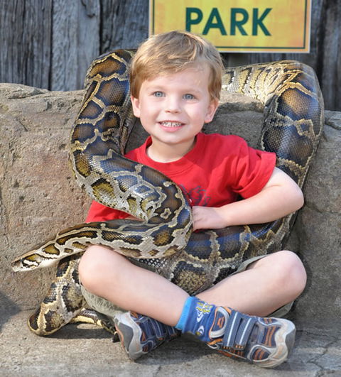 Australian Reptile Park - Surfers Paradise Gold Coast 3